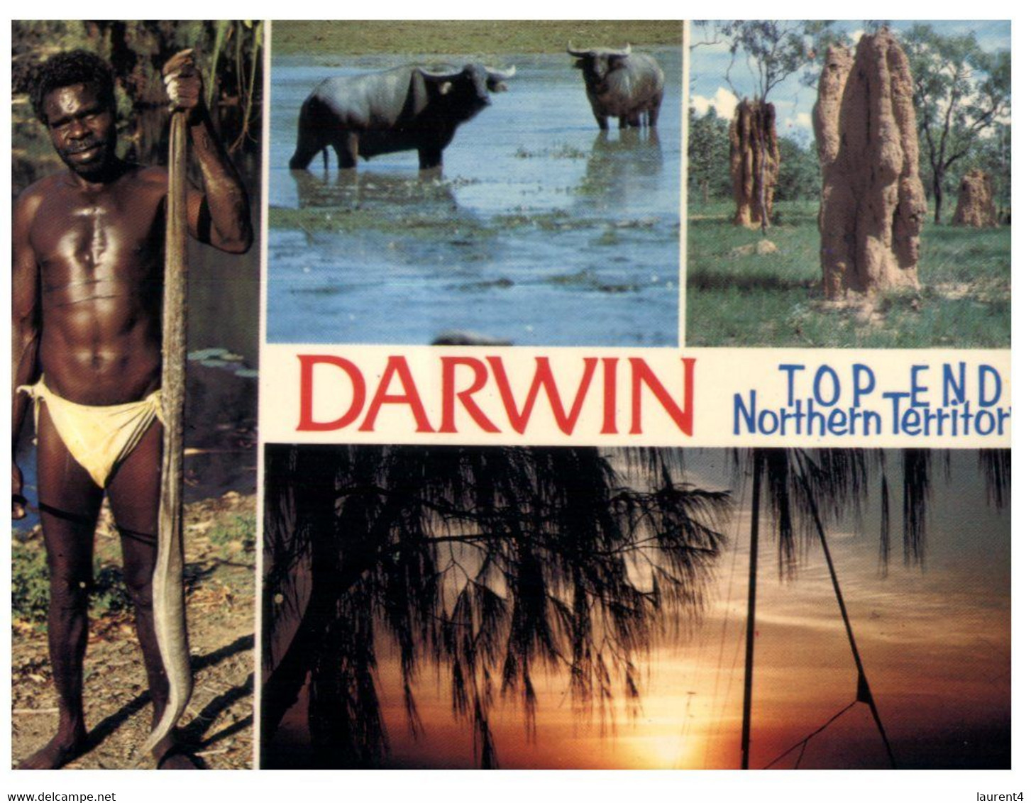 (Q 15) Australia - NT - Darwin  (aboriginal Men With Snake) - Aborigines