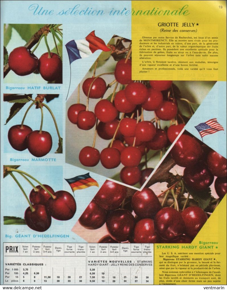 Les Meilleurs Fruits Du Monde Georges Delbard 1962 - Garden
