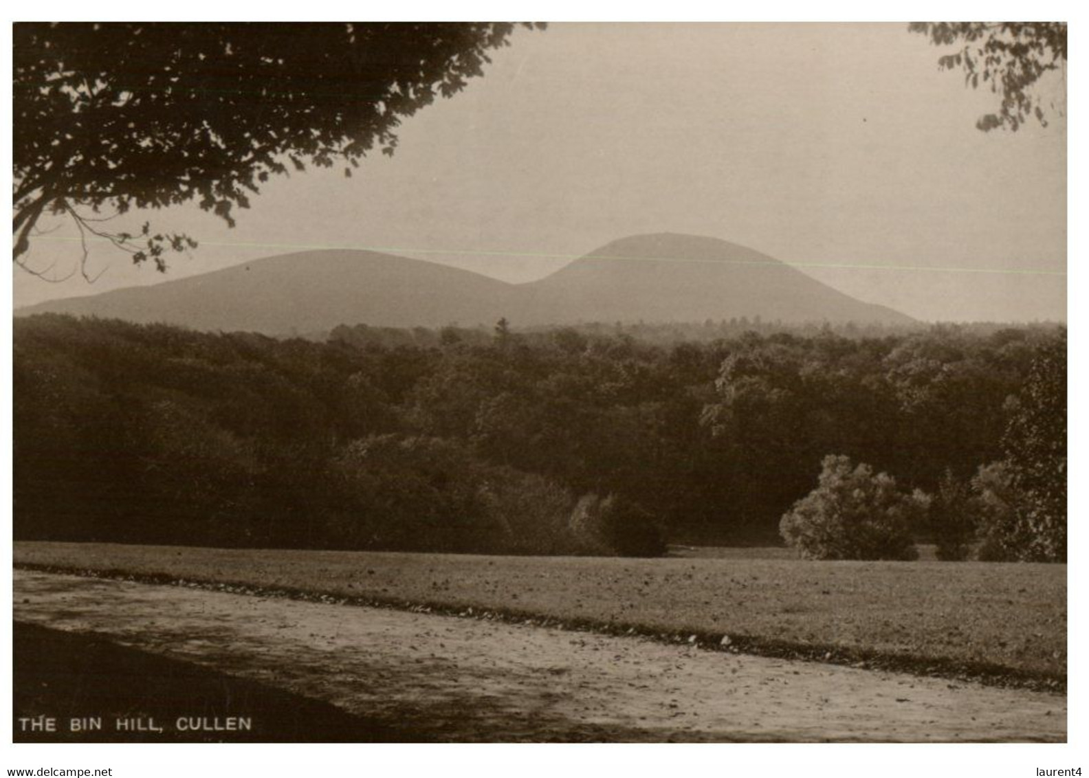 (Q 16) Old Postcard - Scotland ? The Bin Hill - Cullen - Moray