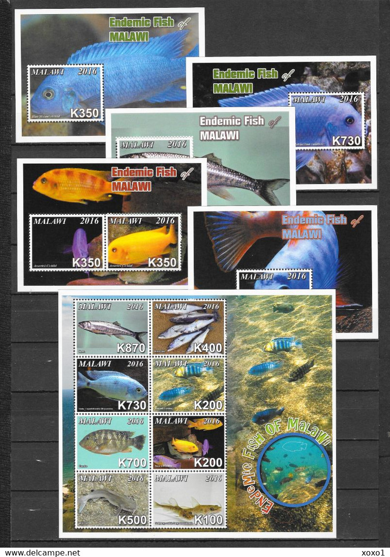 Malawi 2016 MiNr. 893 - 906 (Block 104-8) Fishes  M\sh + 5 S\sh  MNH** 40,00 € - Malawi (1964-...)