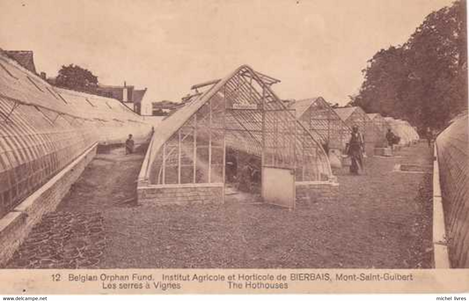 Bierbais - Mont St Guibert - Institut Agricole Et Horticole - Les Serres à Vignes - Pas Circulé - Animée - TBE - Mont-Saint-Guibert