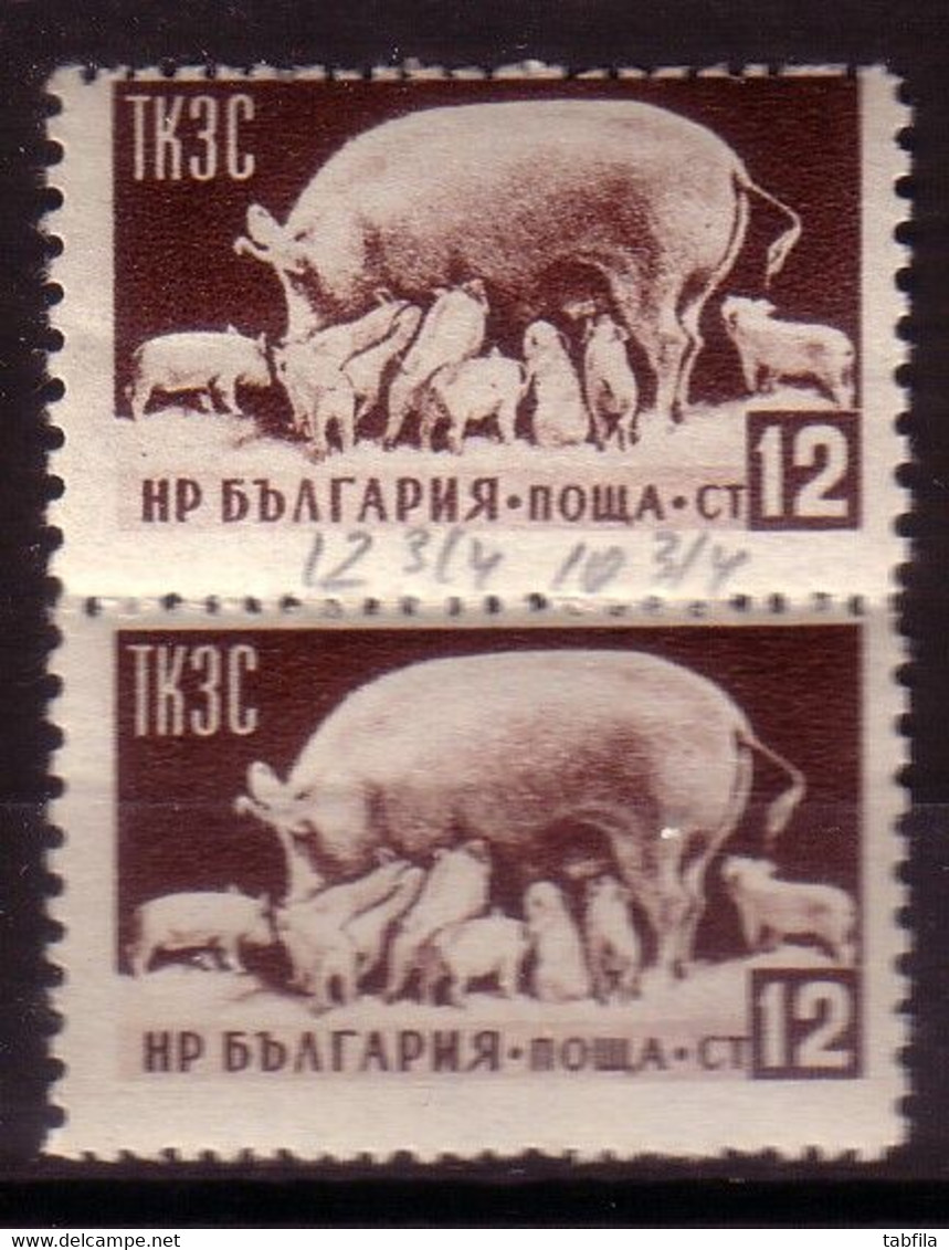 BULGARIA / BULGARIE - 1955 - Fauna - 12 St. Paire - Mi 937 - Dent. 12 3/4: 10 3/4 Variete (error) - Otros & Sin Clasificación