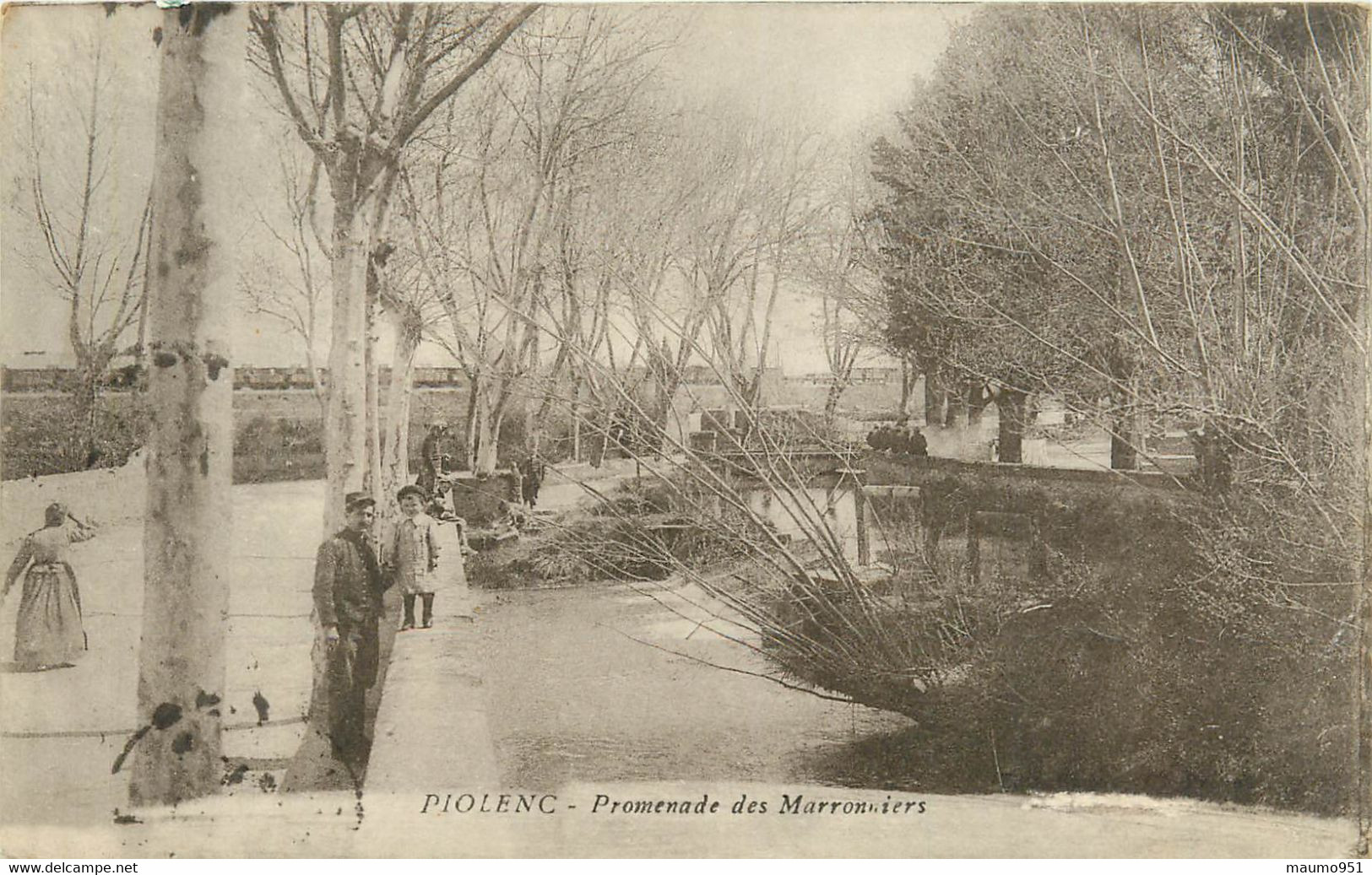 84  PIOLENC - PROMENADE DES MARRONNIERS - Piolenc