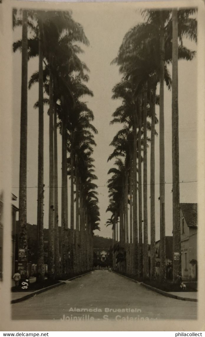 Brasil - Joinville Santa Catarina // Carte Photo - RPPC /  No Adres Lines // Alameda Bruestlein   19?? - Other