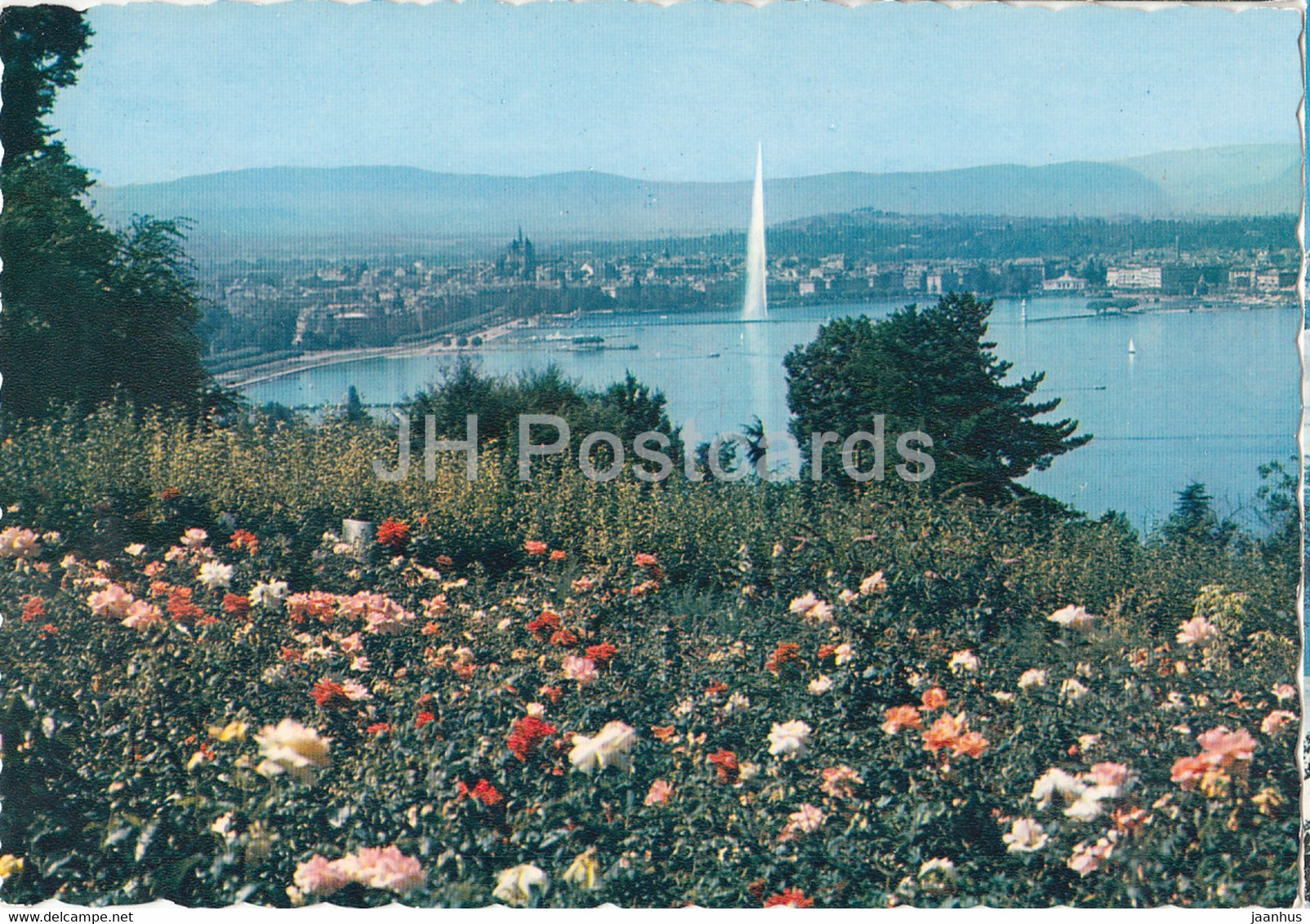 Geneva - Geneve - Le Lac - Le Jet D'Eau Et La Ville Depuis Le Coteau De Cologny - 515 - Switzerland - Unused - Cologny