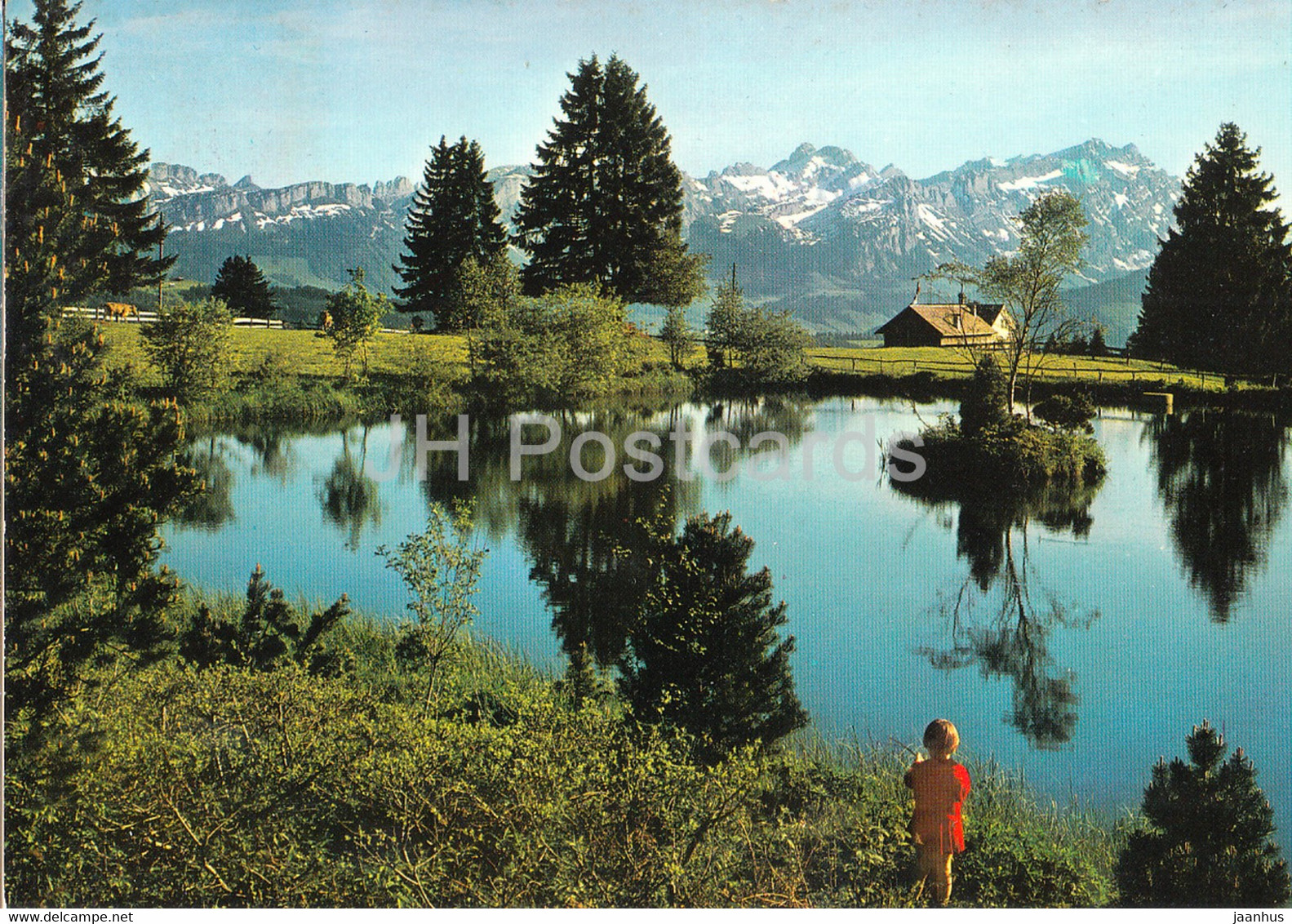 Auf Dem Gabris Ob Gais - Blick Zum Alpstein - 1979 - Switzerland - Used - Gais