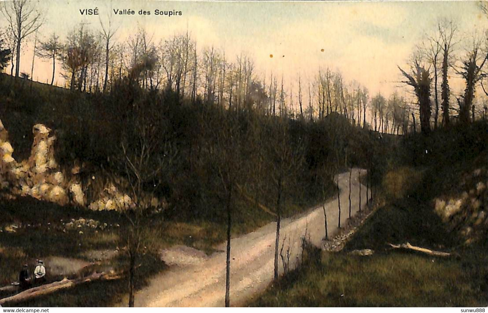 Visé - Vallée Des Soupirs  (colorisée Animée Papier Glacé) - Visé