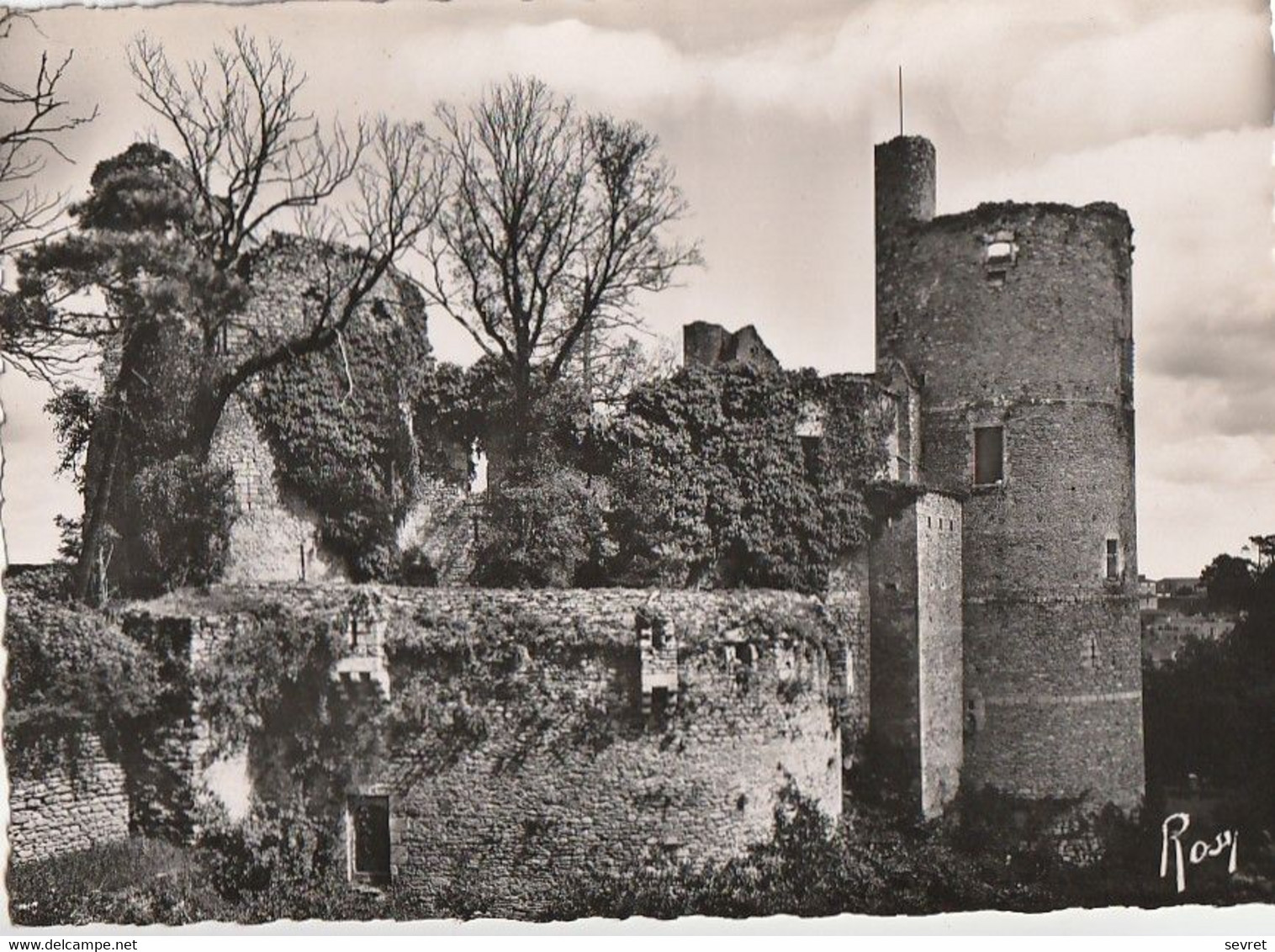 CLISSON. - Ruines Du CHATEAU Au Sud-Ouest - DONJON Et GROSSE TOUR. CPM Dentelée Pas Courante - Clisson