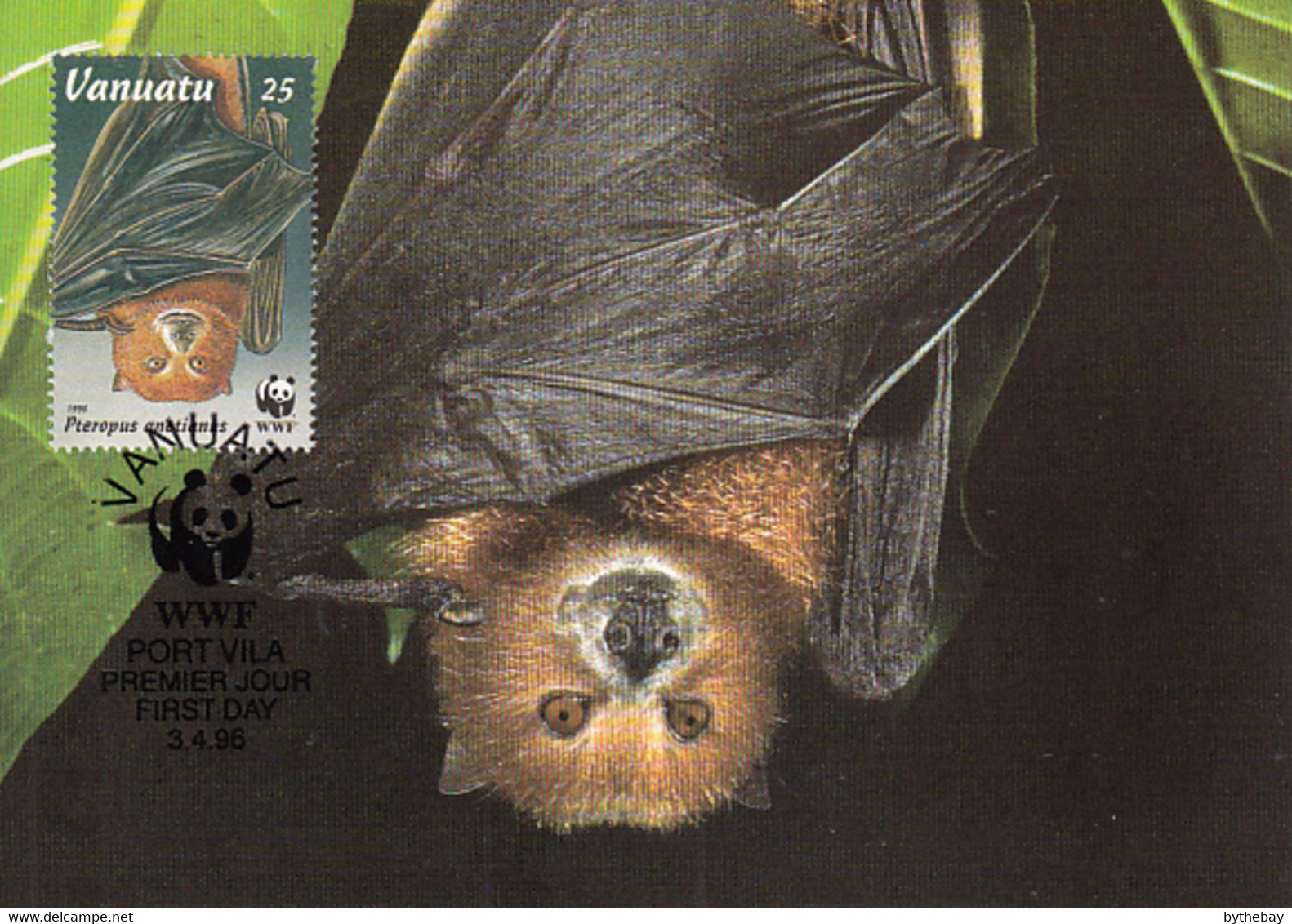 Vanuatu 1996 Maxicard Sc #675 25v Vanuatu Flying Fox WWF - Vanuatu (1980-...)