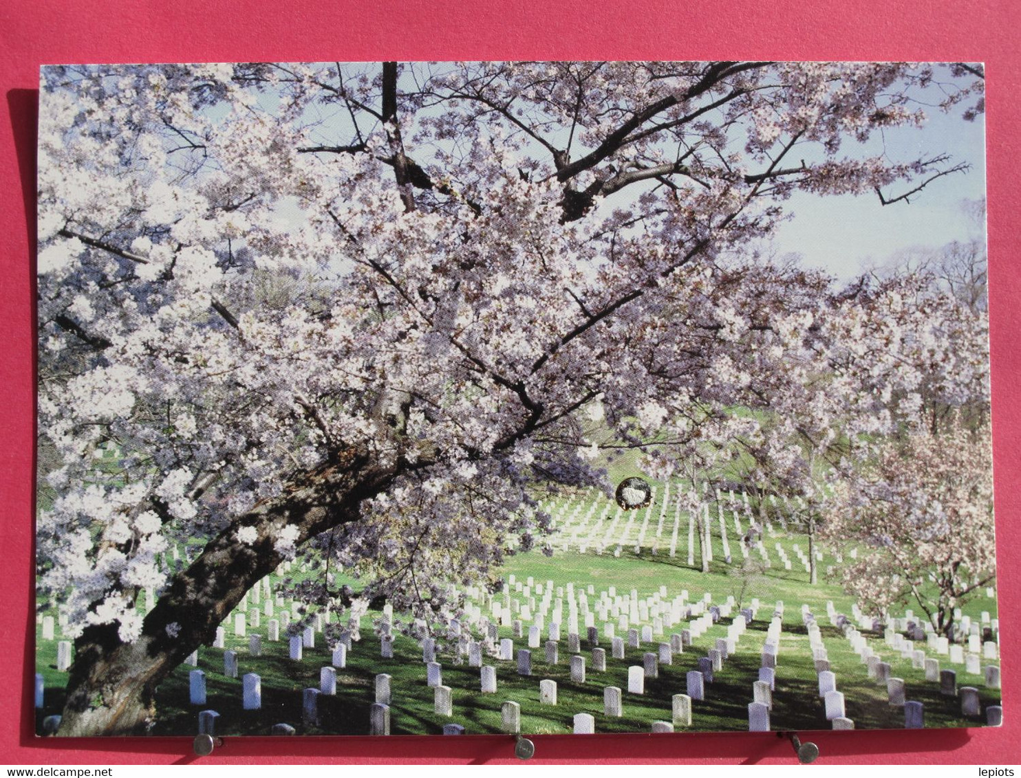 USA - Arlington National Cemetery - Spring - Excellent état - Arlington