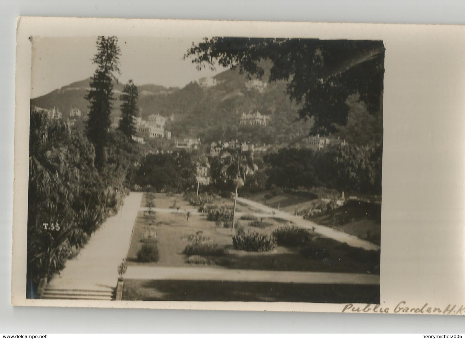 Chine China Hong Kong Carte Photo Public Garden - China (Hongkong)