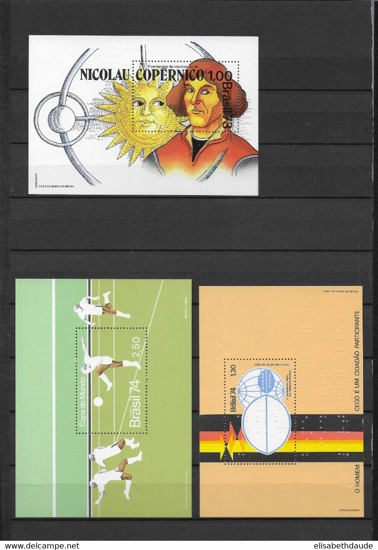 BRESIL - 1966/1992 - BEL ENSEMBLE de BLOCS ** MNH - 12 PAGES ! - COTE ENV. 500 EUR.