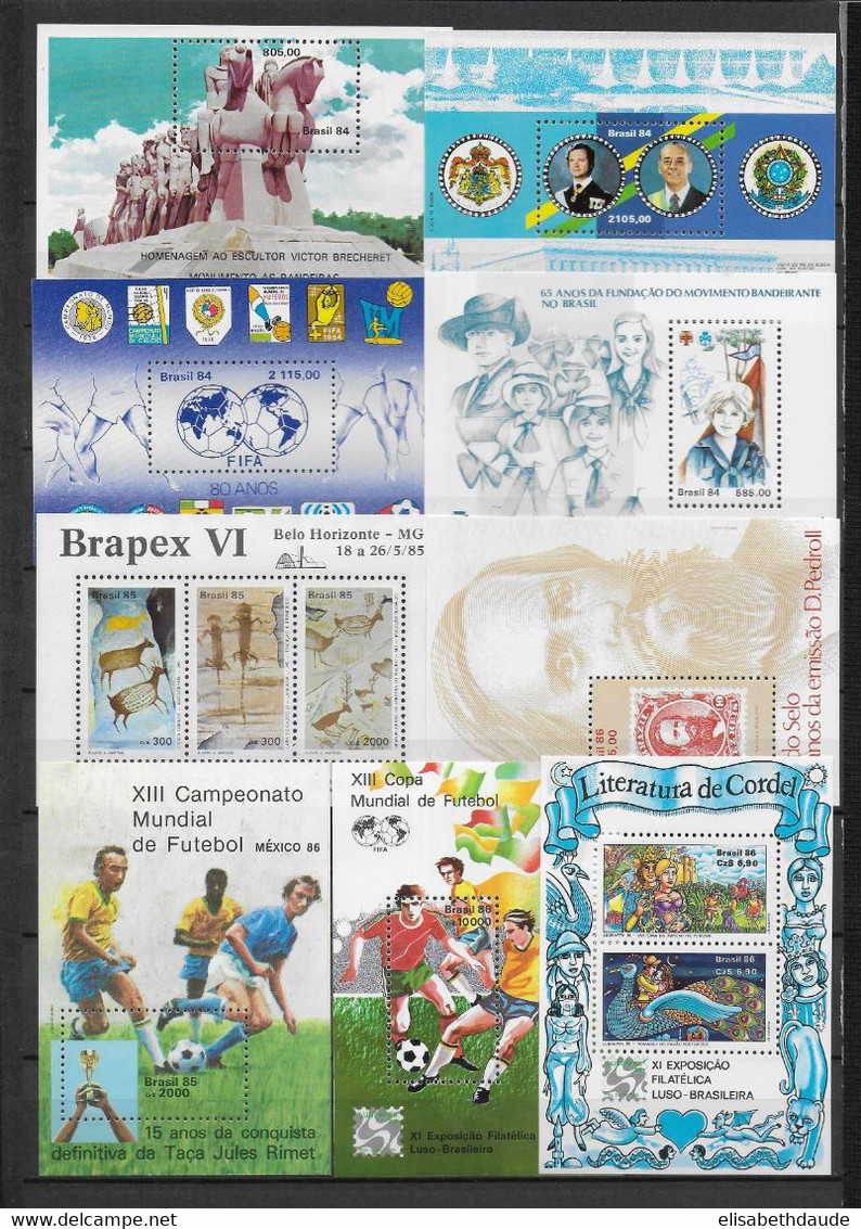 BRESIL - 1966/1992 - BEL ENSEMBLE de BLOCS ** MNH - 12 PAGES ! - COTE ENV. 500 EUR.