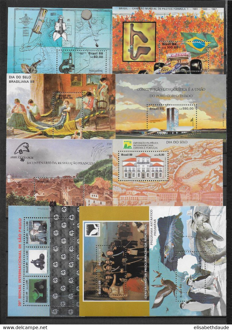 BRESIL - 1966/1992 - BEL ENSEMBLE de BLOCS ** MNH - 12 PAGES ! - COTE ENV. 500 EUR.