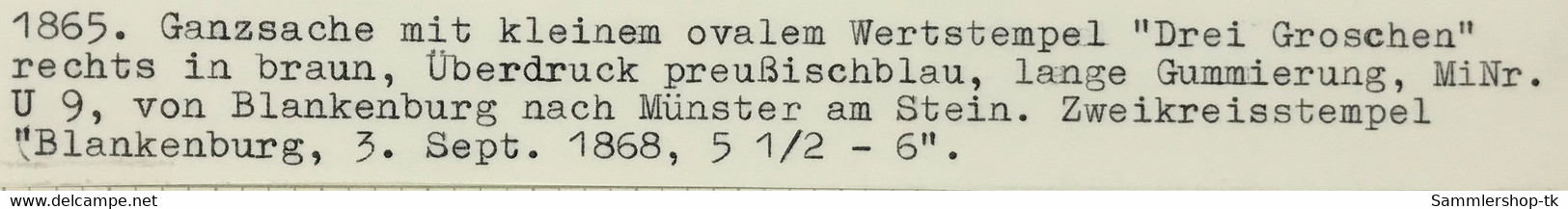 Braunschweig Ganzsache U9 Von Blankenburg Nach Münster Am Stein 1868 - Brunswick