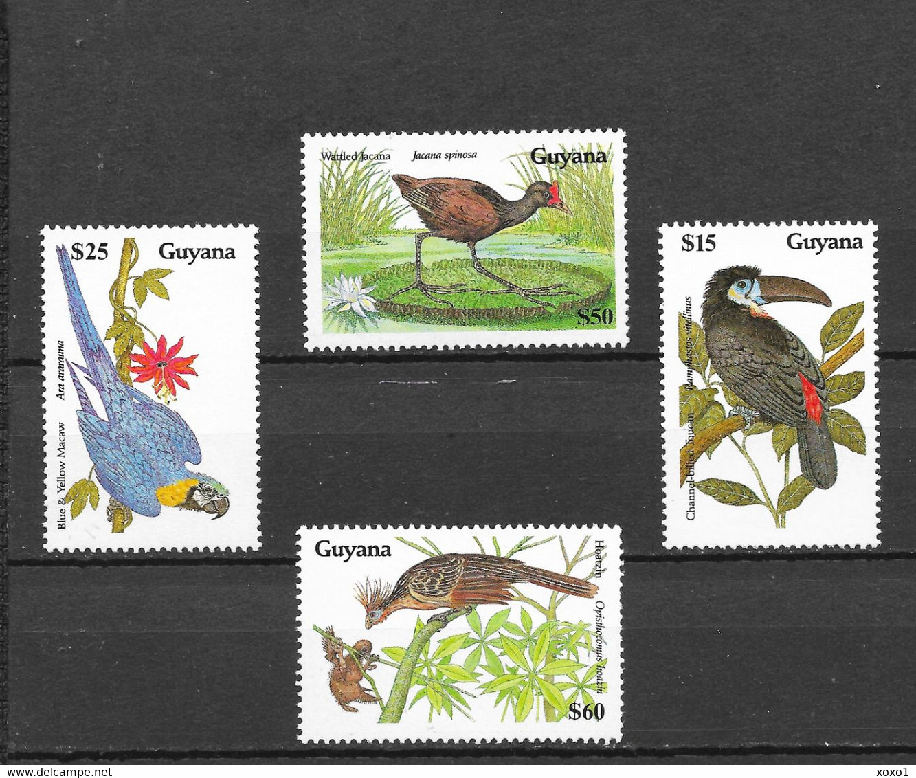 Guyana 1990 MiNr. 3081 - 3084 Birds WWF 4v MNH**  11 € - Guyana (1966-...)