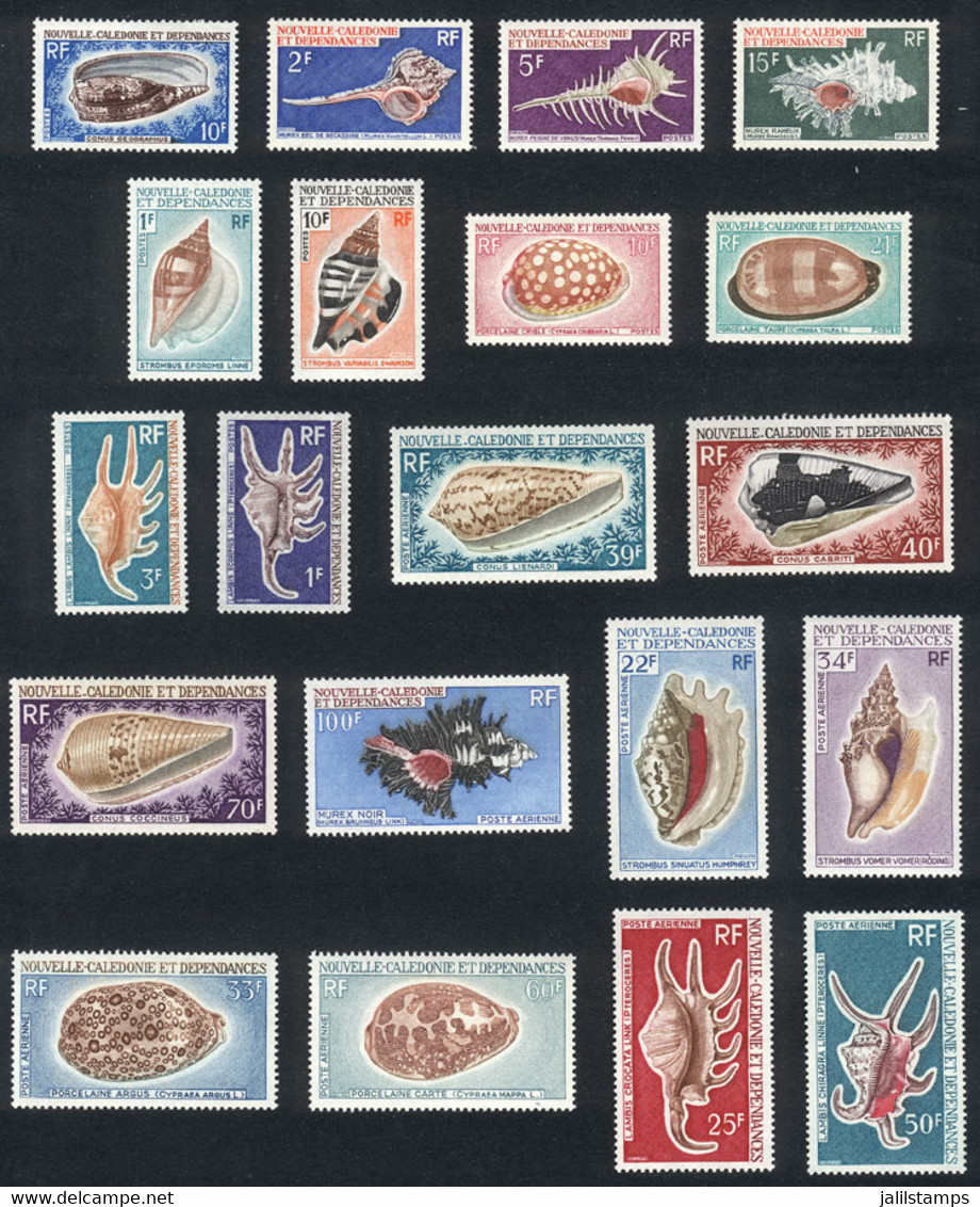 NEW CALEDONIA: Yvert 354 + 358/60 + 368/71 + 379/80 + A.105 + A.98/100 + A.113/6 + A.129/30, Sea Shells, Complete Set Of - Other & Unclassified