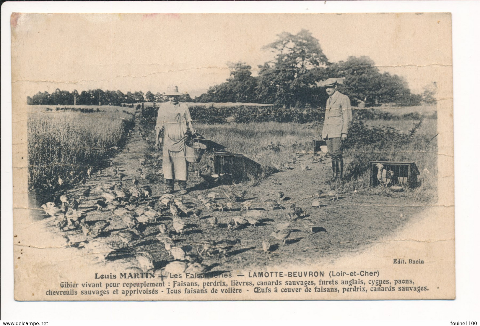 Carte De PIERREFITTE SUR SAULDRE Environs De LAMOTTE BEUVRON Les Faisanderies LOUIS MARTIN élevage De Faisans / Chasse ? - Lamotte Beuvron