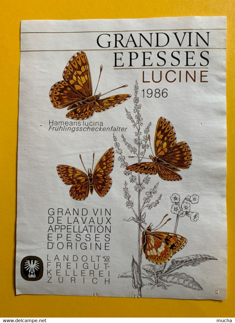 16038 - Epesses Lucine 1986 Hamearis Lucina - Papillons