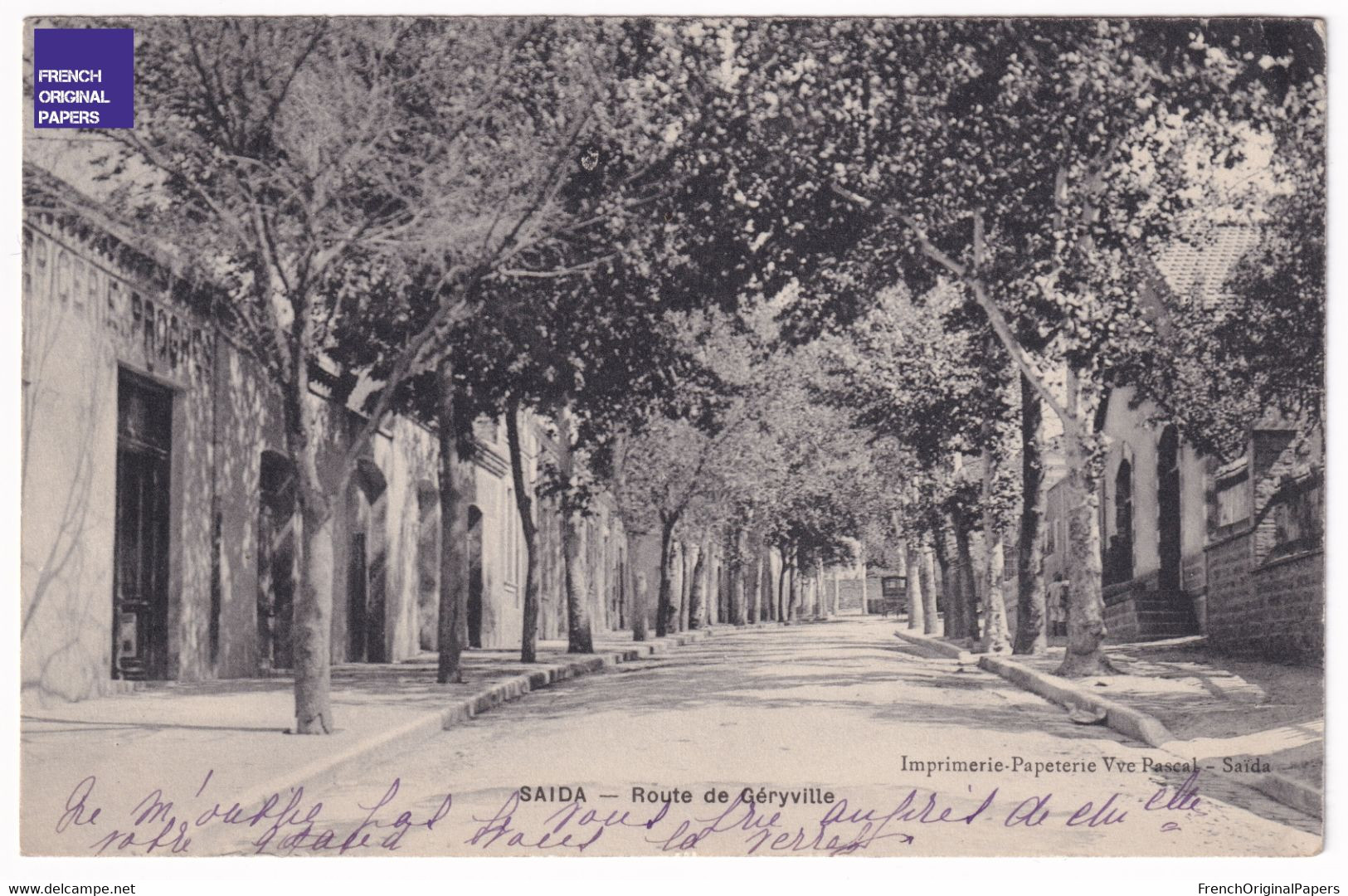 Jolie Carte Postale Ancienne 1910 - Saida - Route De Géryville - Imp. Vve Pascal - Epicerie Progrès D1-165 - Saida