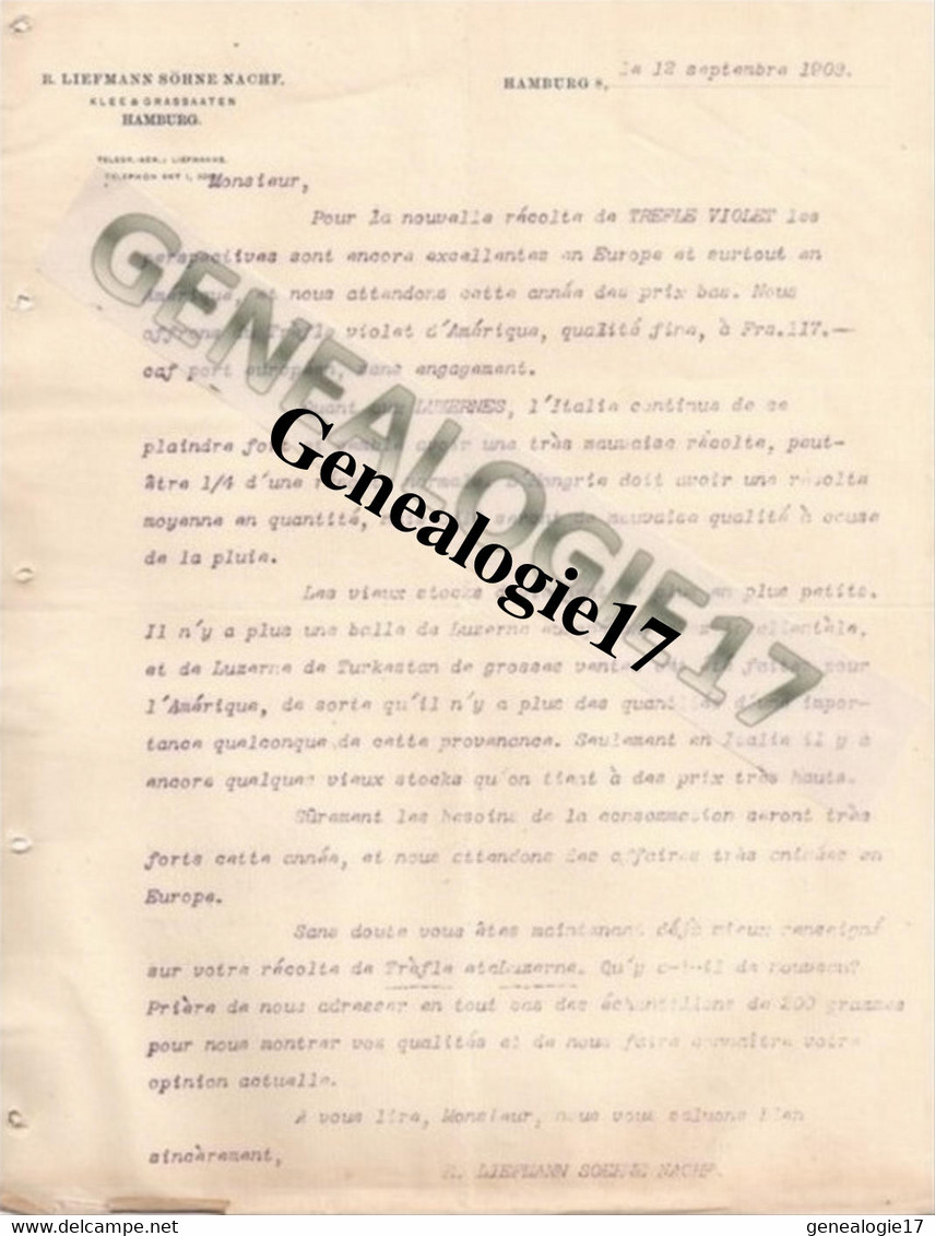 96 0002 ALLEMAGNE HAMBURG Ets R. LIEFMANN SOHNE NACHF Klee Et  Grassaaten HAMBURG 1908 Trefles Violets - Sonstige & Ohne Zuordnung