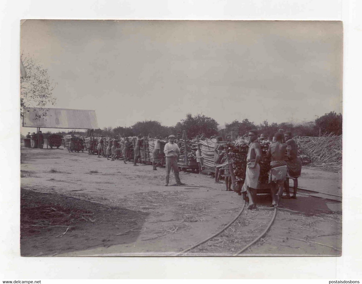 Cx14) África Portuguesa 1912 "Passagem Dos Carros De Canna Na Balança" Carimbo Fotógrafo J. R. CARVALHO África Oriental - Africa