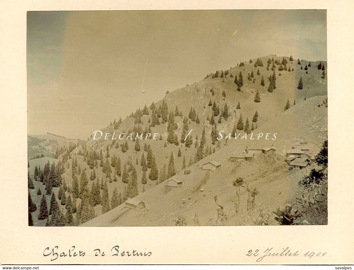 Haute-Savoie Chablais * Abondance, Chalets De Pertuis * Photo Originale 1900 - Voir Scans - Plaatsen