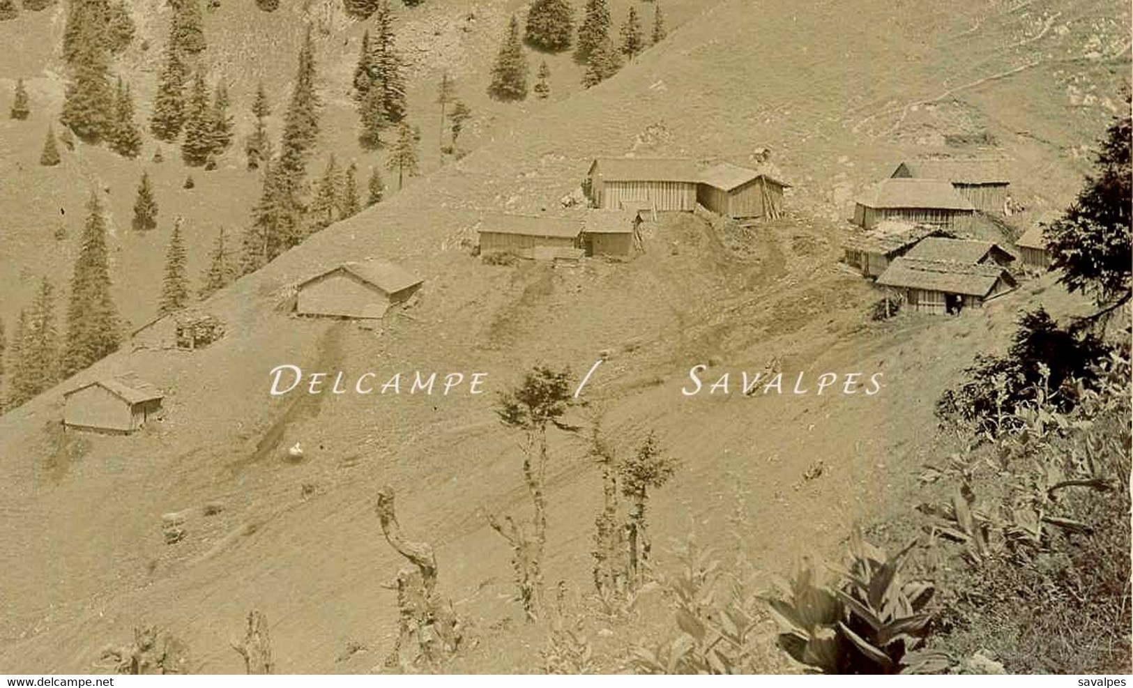 Haute-Savoie Chablais * Abondance, Chalets De Pertuis * Photo Originale 1900 - Voir Scans - Plaatsen