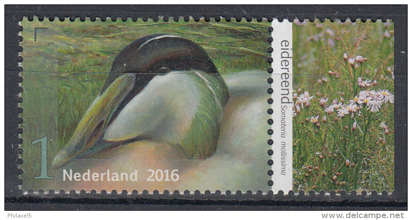 Nederland - Griend: Vogels Van Het Wad - Eidereend - MNH - NVPH 3410 - Eenden