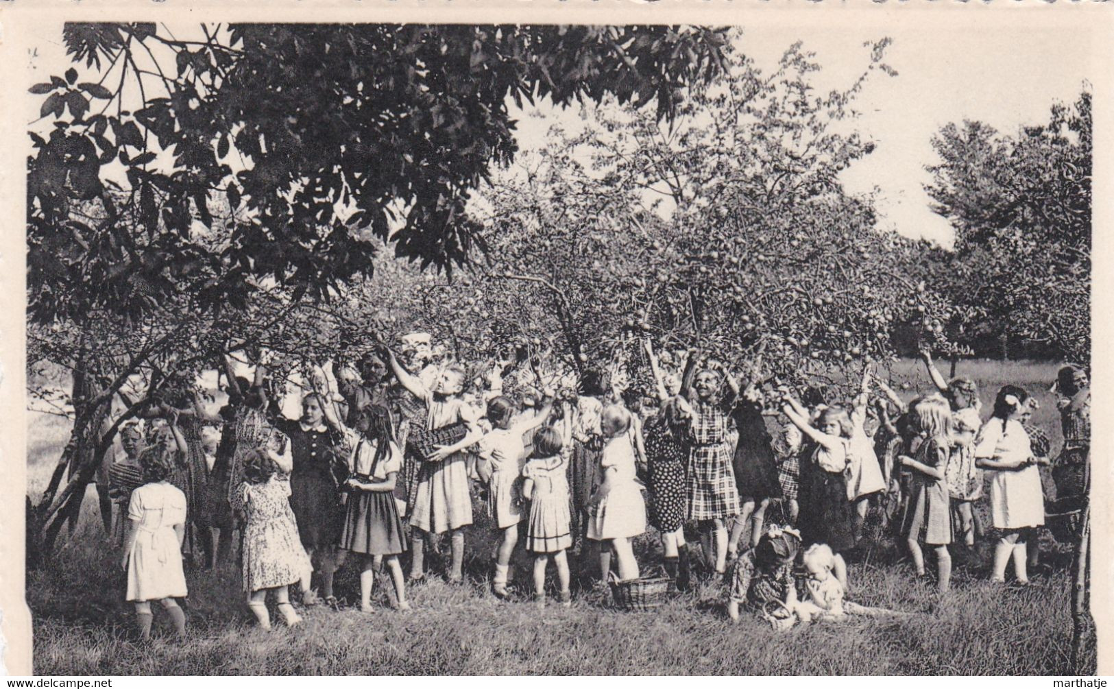 Ravels. O.L.Vrouw Van De Kempen-Open-lucht-school Voor Zwakke Meisjes-Aangename Verposing In De Fruithof - Ravels