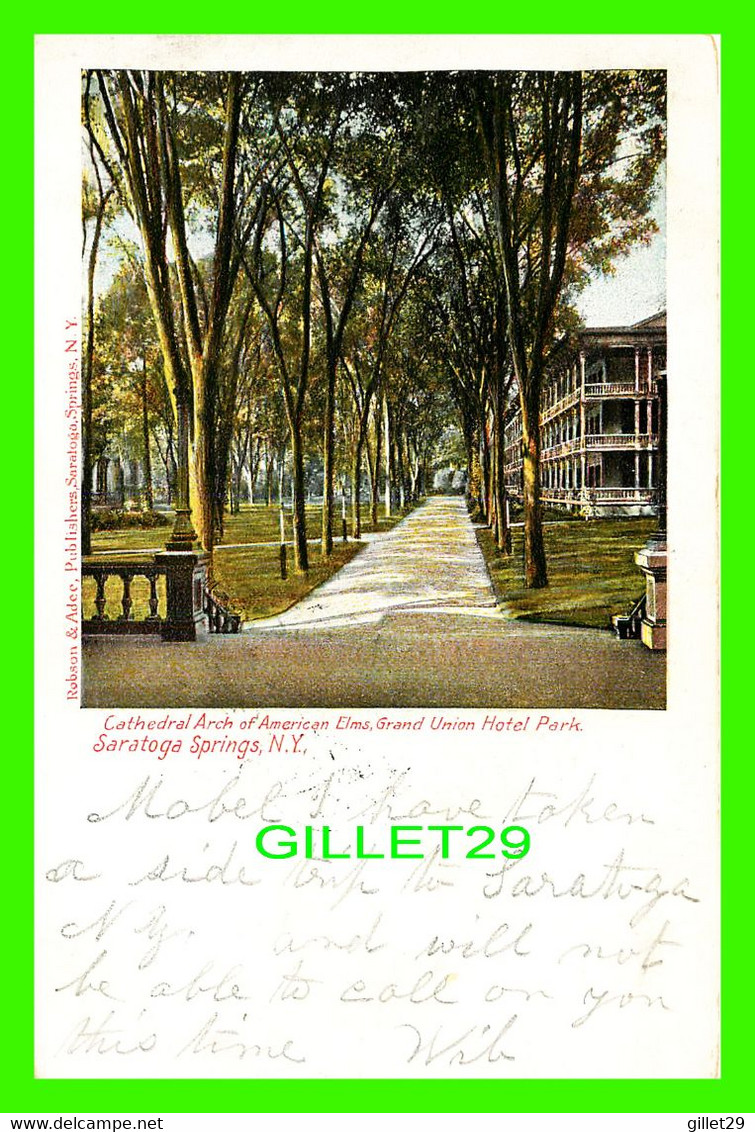 SARATOGA SPRINGS, NY - CATHEDRAL ARCH OF AMERICAN ELMS, GRAND UNION HOTEL PARK - ROBSON & ADEE - TRAVEL IN 1905 - - Saratoga Springs