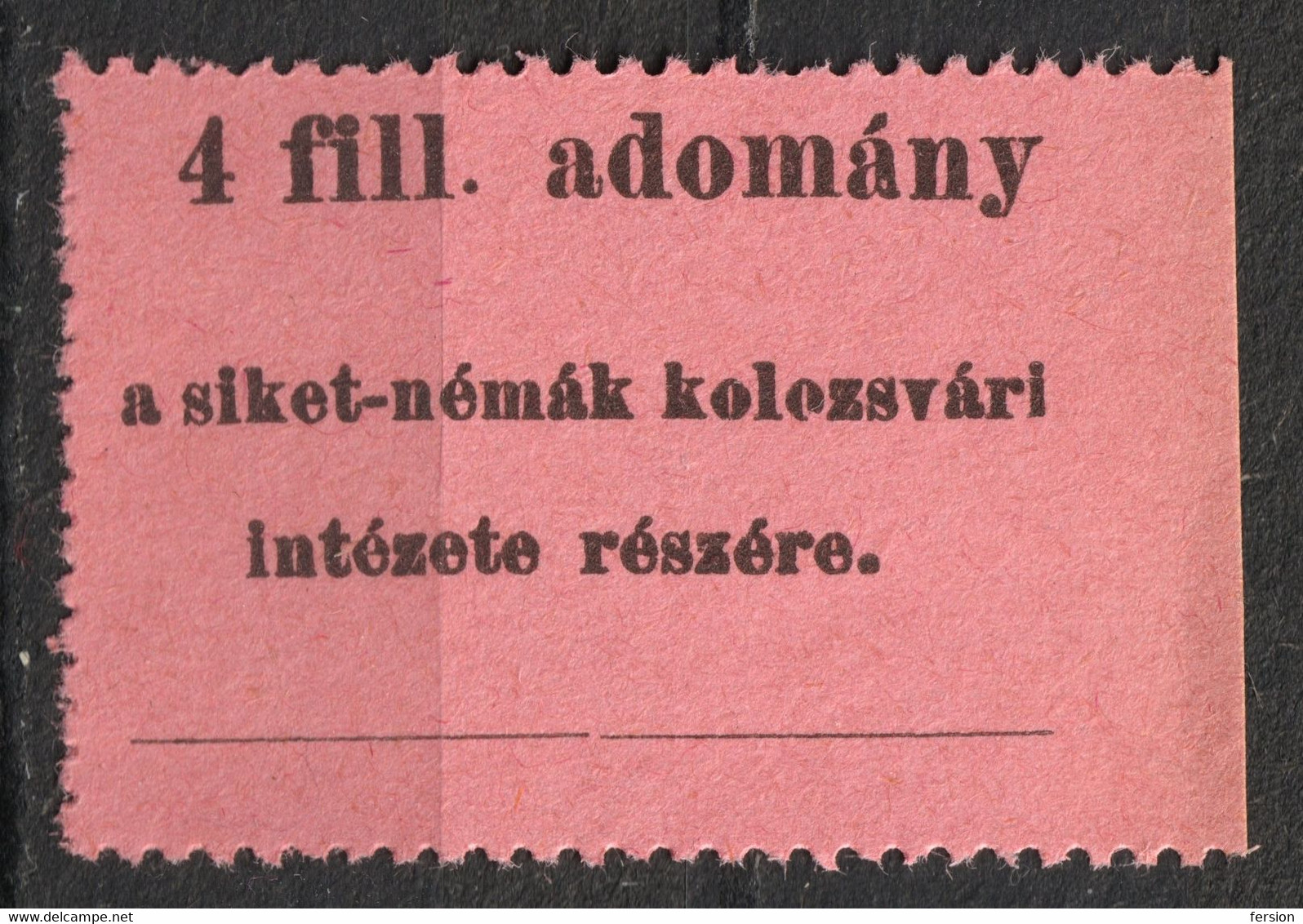 Deaf Mute INSTITUTE Charity Aid Stamp LABEL CINDERELLA VIGNETTE Romania Hungary Transylvania Kolozsvár Cluj Napoca 4fill - Siebenbürgen (Transsylvanien)