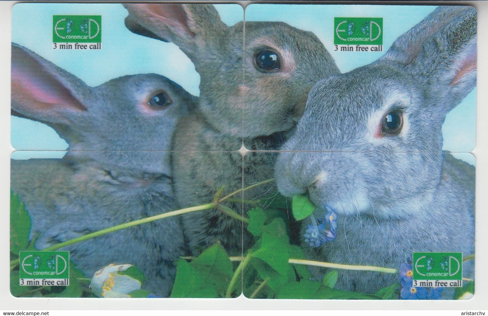 ISRAEL RABBIT HARE PUZZLE - Rabbits