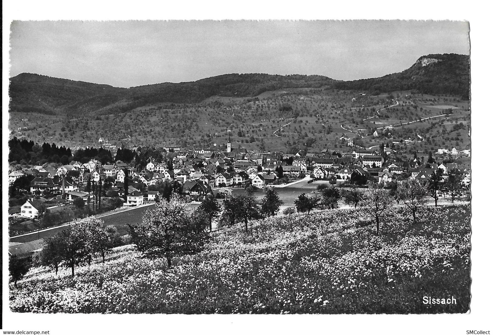 Sissach, Vue Générale (6121) - Sissach