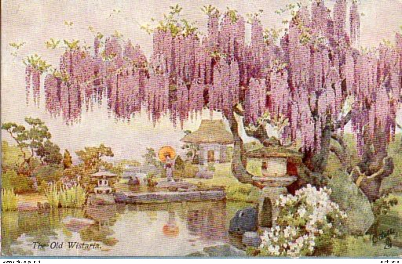 Raphael Tuck & Sons - 7917, Flowers And Gardens Of Japan, The Old Wistaria - Tuck, Raphael