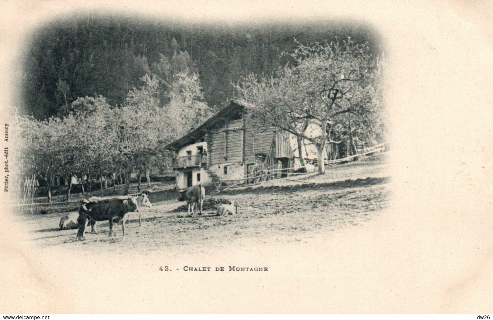 Savoie - Chalet De Montagne, Vaches à L'alpage - Edition Pittier - Carte Dos Simple Non Circulée - Rhône-Alpes