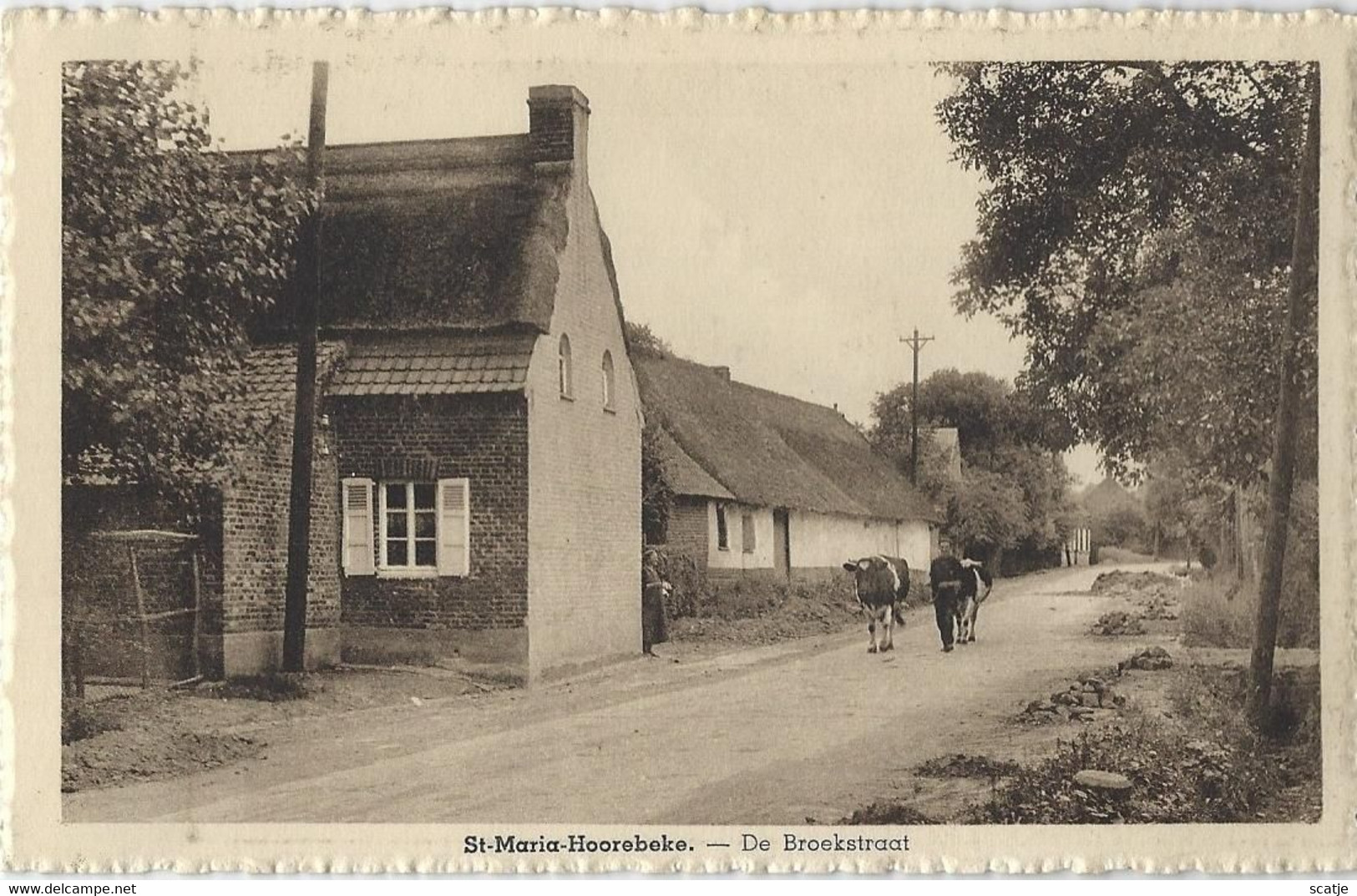 St. Maria-Hoorebeke.   -   De Broekstraat   (uit Plakboek) - Horebeke