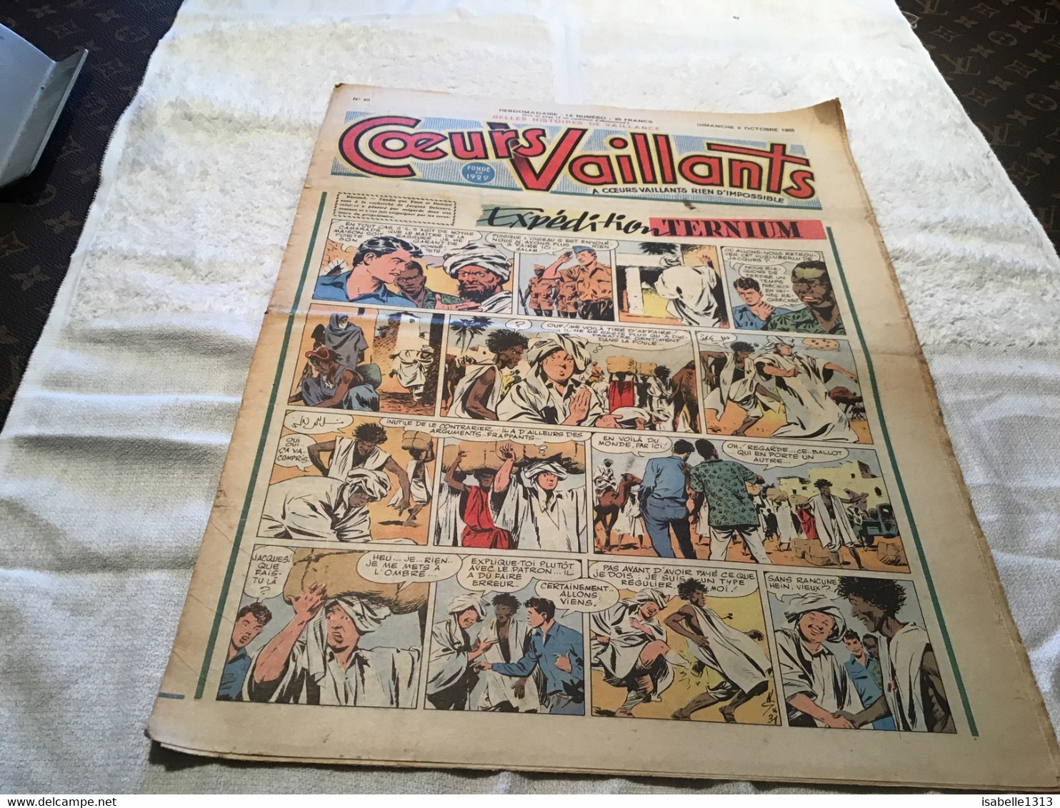 Cœurs Vaillants Expédition Ternium 1955 Numéro 40 - Vaillant