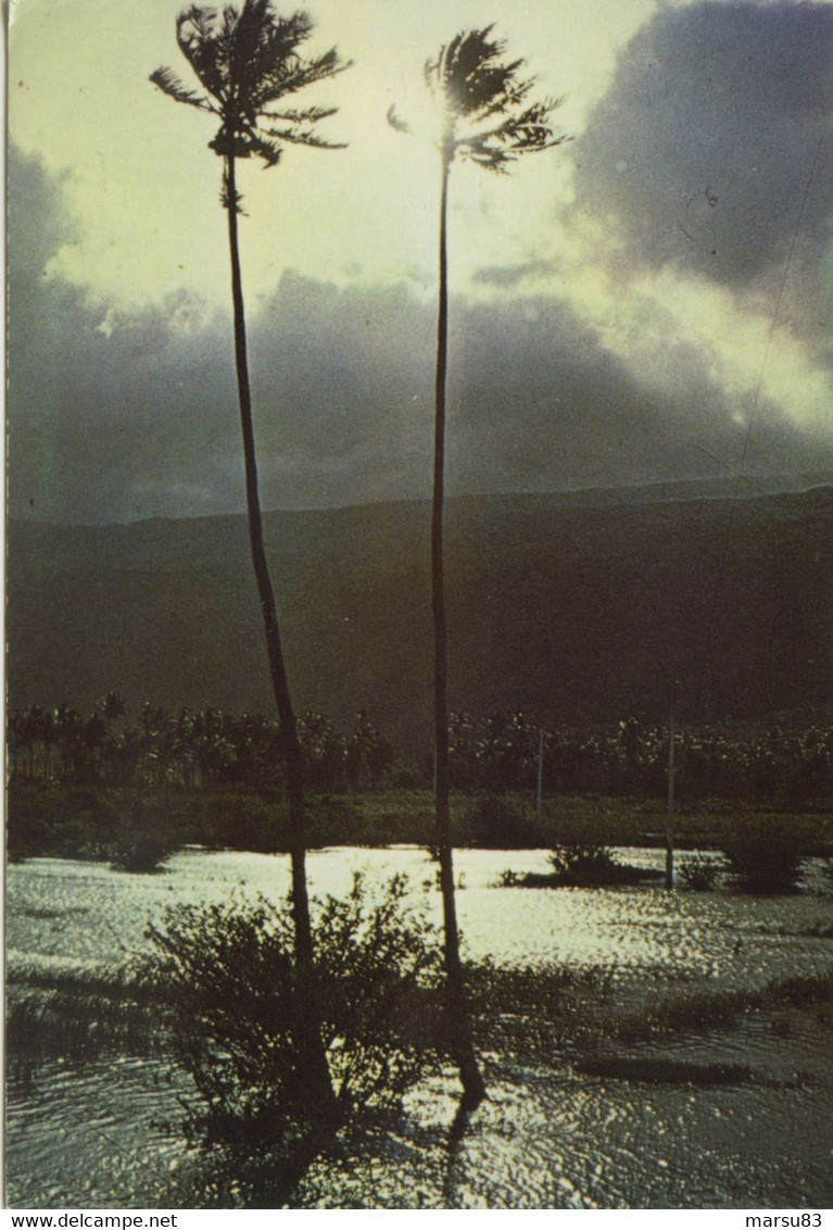 La Réunion- St Paul Après Le Cyclone ** Carte Cate Tbon De 1975 ** - Ed. Pro Photo N°25 - Saint Paul