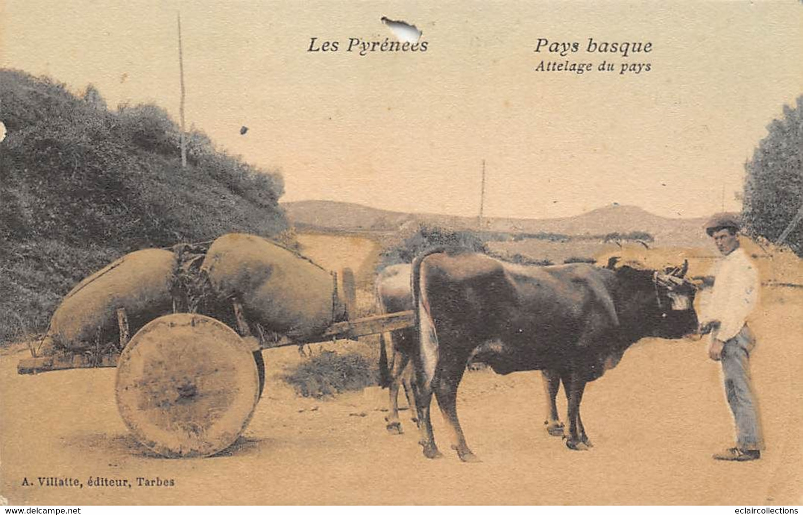 Non Classé  Hautes Pyrénées    65        Attelage Du Pays           ( Trouée Voir Scan) - Autres & Non Classés