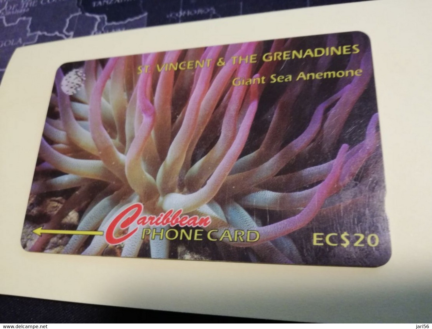 ST VINCENT & GRENADINES  GPT CARD   $ 20,- 52CSVG  GIANT SEA ANEMONE             C&W    Fine Used  Card  **3381** - St. Vincent & Die Grenadinen