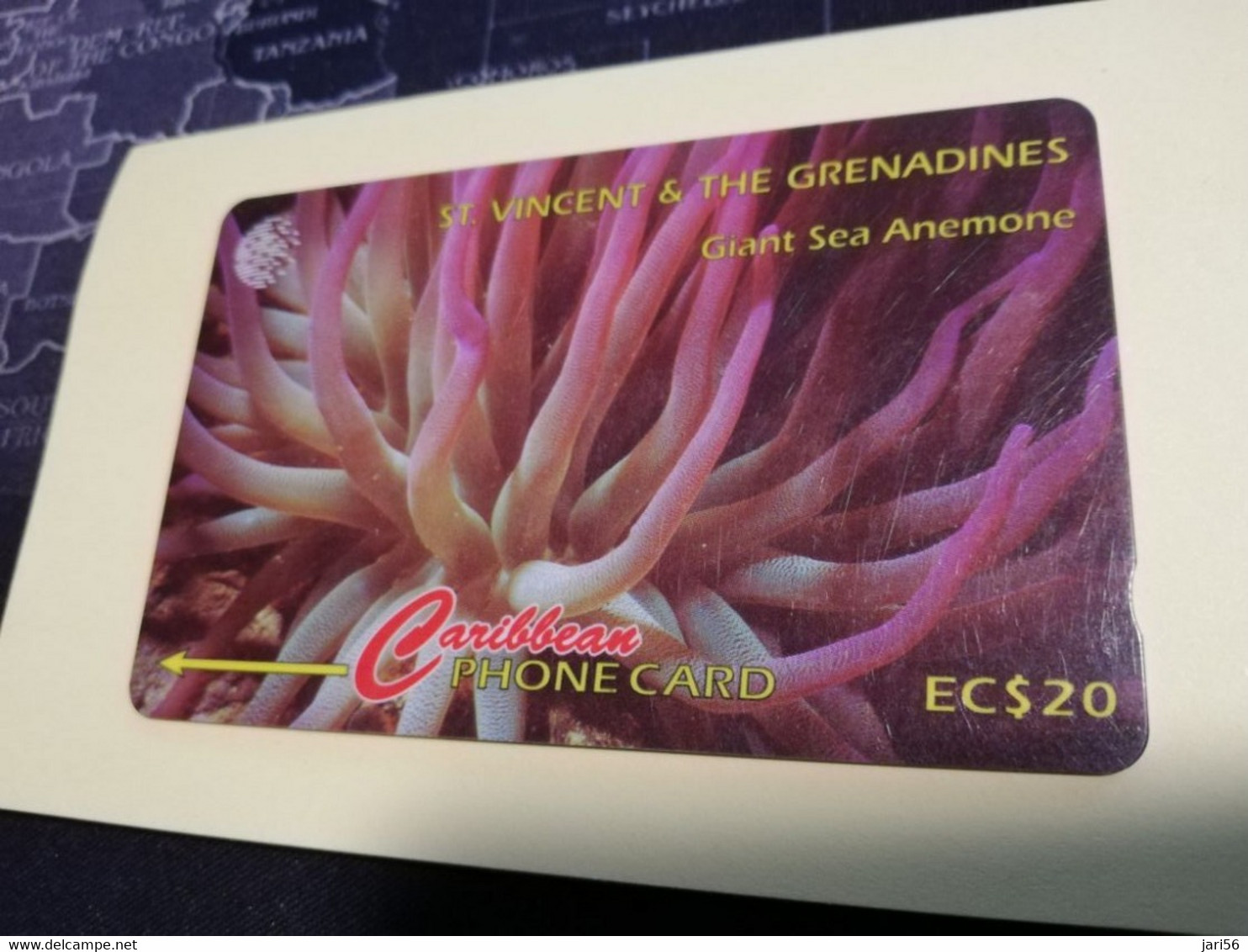 ST VINCENT & GRENADINES  GPT CARD   $ 20,- 142CSVC   GIANT SEA ANEMONE               C&W    Fine Used  Card  **3389** - San Vicente Y Las Granadinas