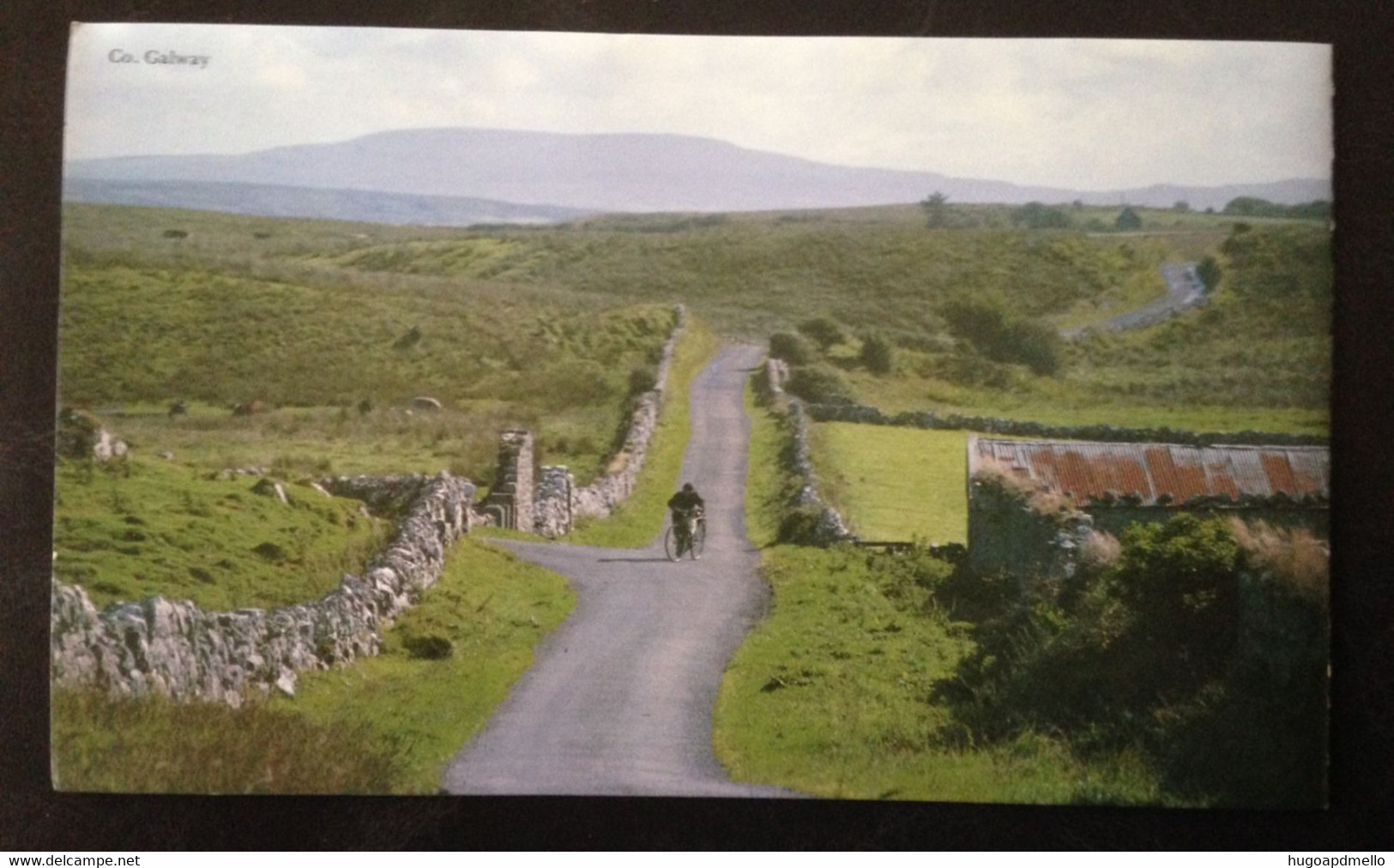 IRELAND, Unused Stamps Booklet, « Full Year », 1988 - Années Complètes