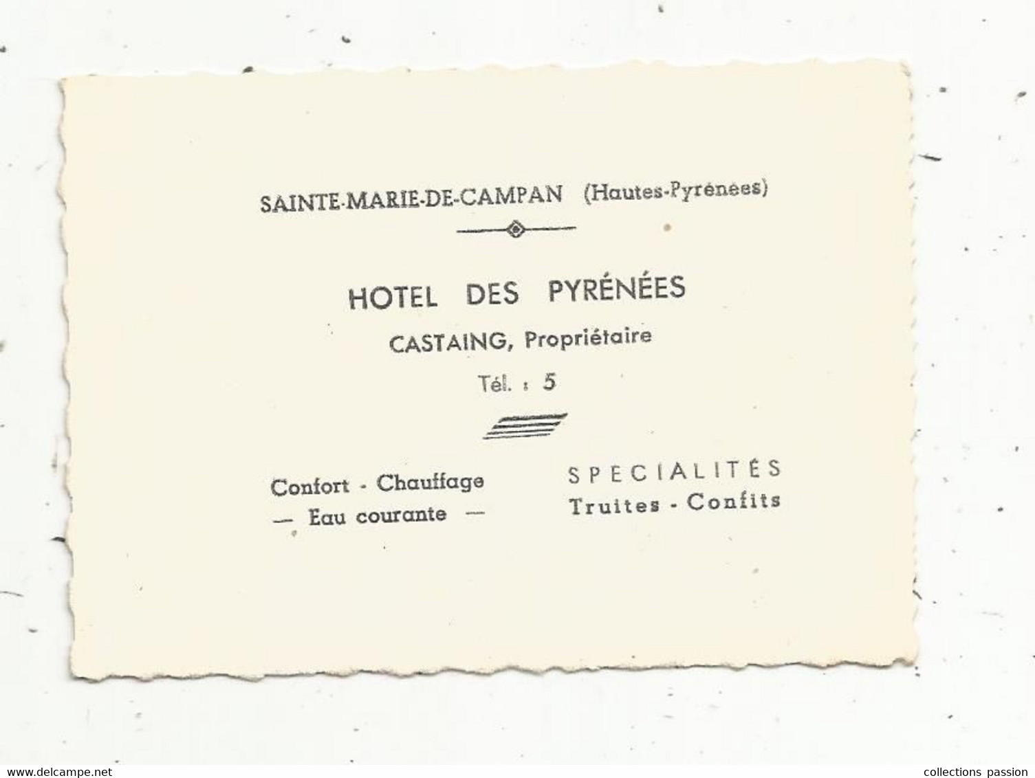 Carte De Visite Et Photographie ,65 , SAINTE MARIE DE CAMPAN ,hôtel Des Pyrénées ,Castaing Propriétaire ,2 Scans - Visitekaartjes