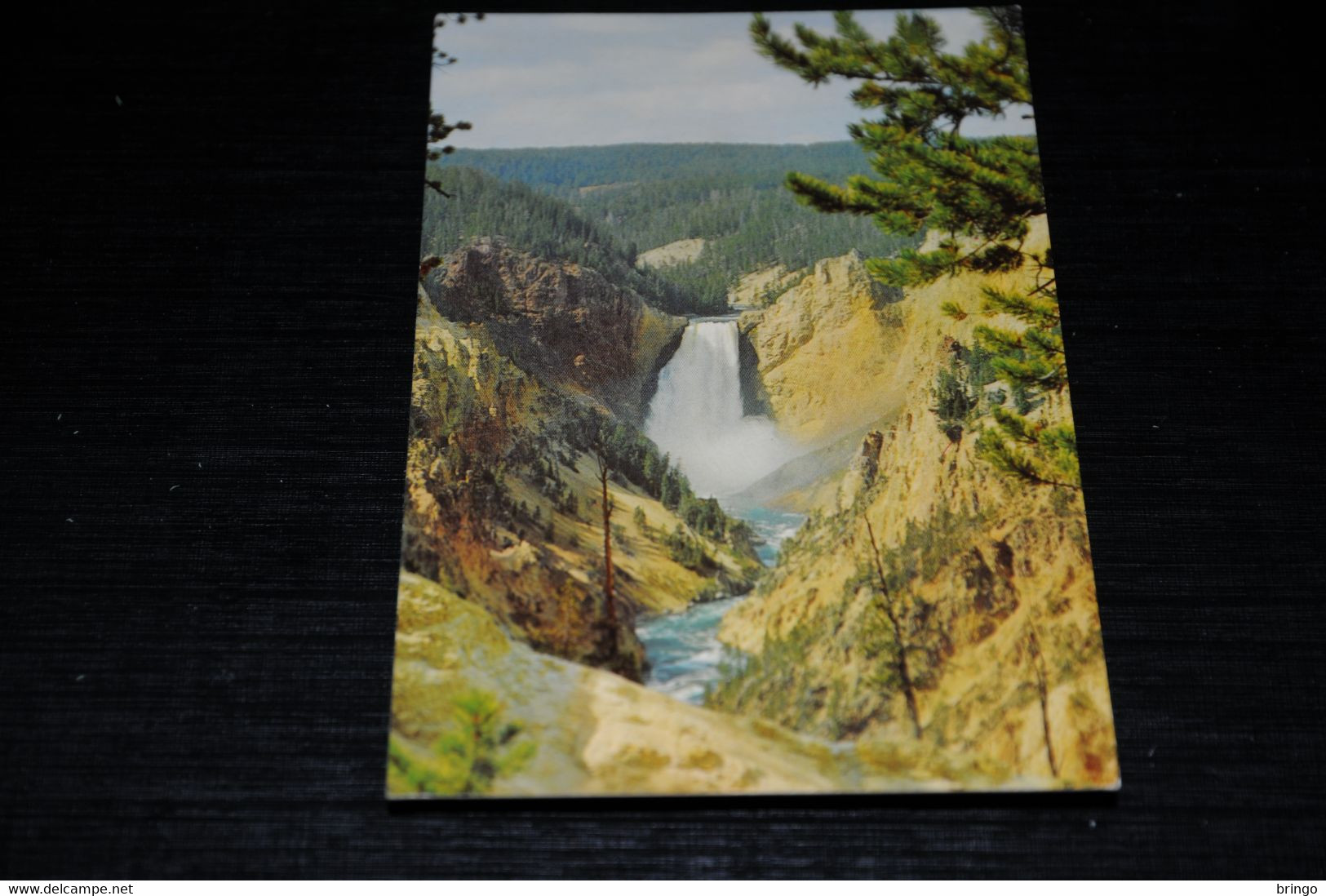 17955-               LOWER FALLS AND GRAND CANYON, YELLOWSTONE NATIONAL PARK - Yellowstone