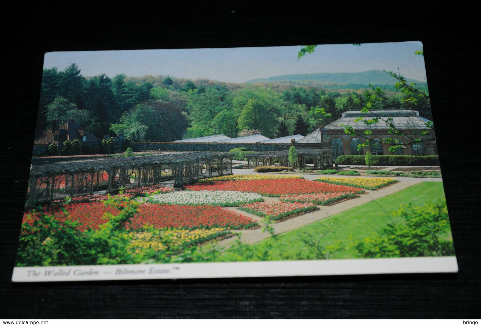 17964-               THE WALLED GARDEN AT BILTMORE ESTATE, ASHVILLE, N.C. - Asheville