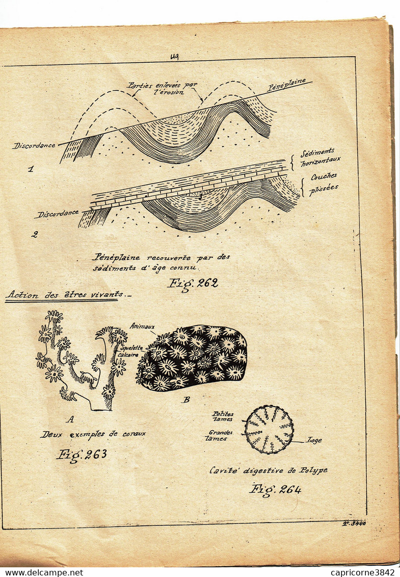 1954 - COURS DE SCIENCES NATURELLES -GEOLOGIE - De L'Ecole Universelle Par Correspondance De Paris - 18 Ans Et Plus