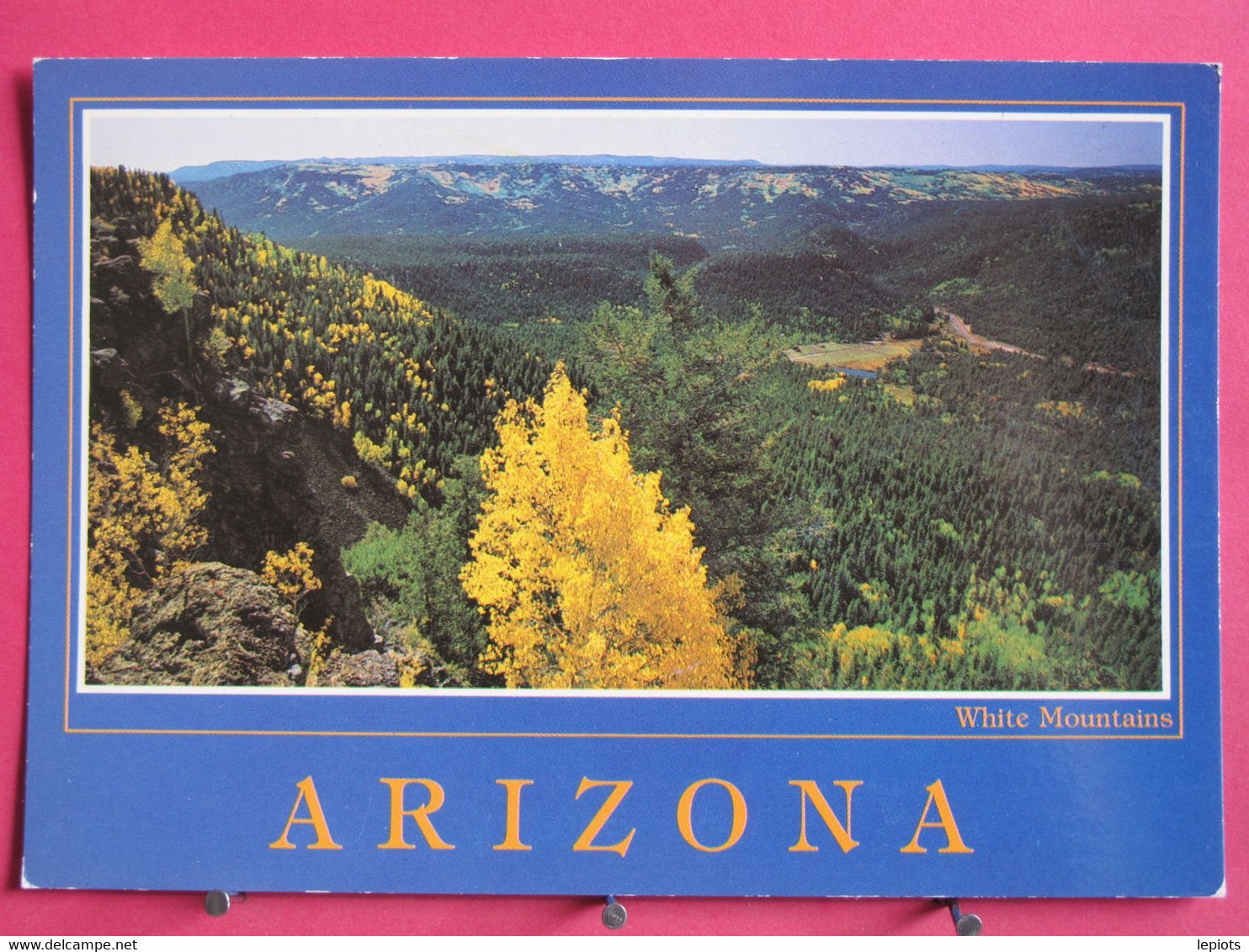 Visuel Très Peu Courant - USA - White Mountains - Northern Arizona - Excellent état - Recto-verso - Autres & Non Classés