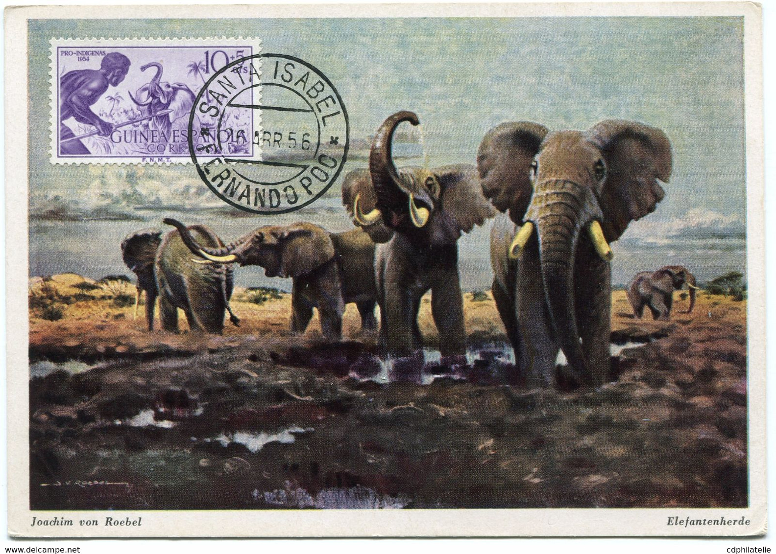 GUINEE ESPAGNOLE CARTE MAXIMUM DU N°356 ELEPHANTS AVEC OBLITERATION SANTA ISABEL 26 ABR 56 FERNANDO POO - Elephants