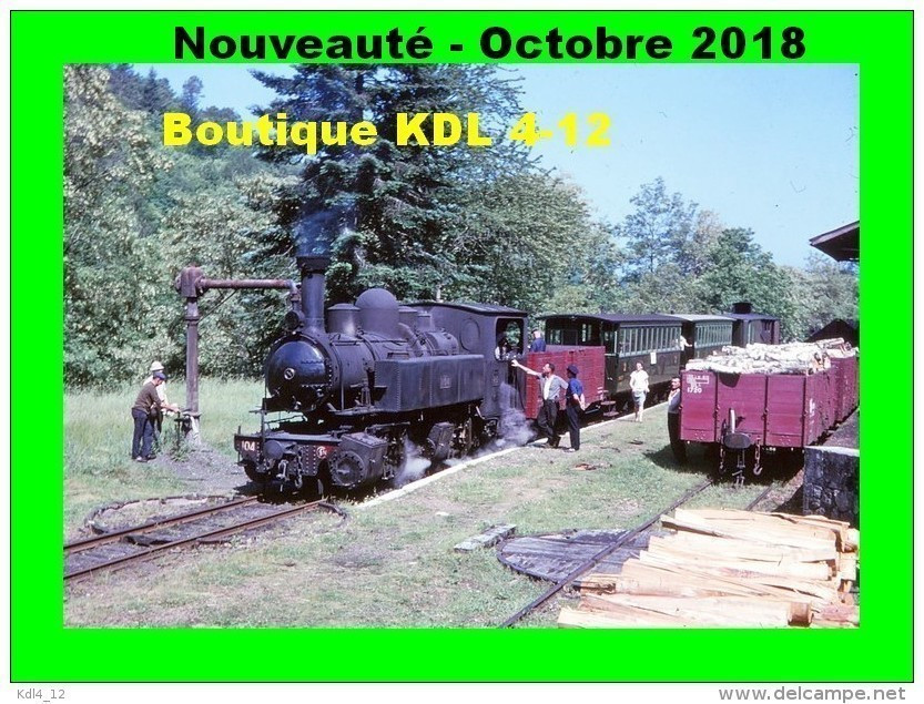 AL 535 - Train, Loco 020+020 T N°104 En Gare - PANDRIGNES SAINT-PAUL - Corrèze - POC - Other & Unclassified